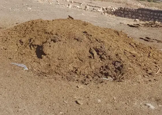 کود حیوانی دوساله گوسفند|گل و گیاه طبیعی|کوهدشت, |دیوار