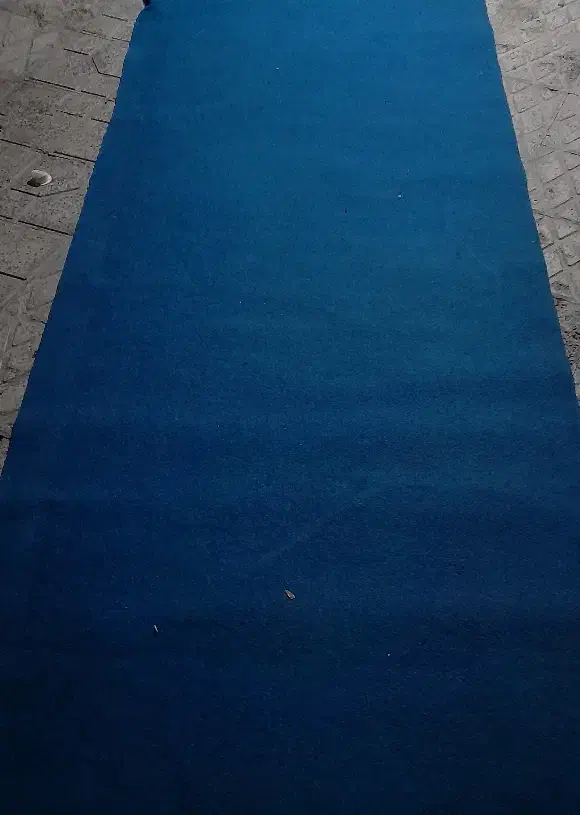 موکت|موکت|الوند, |دیوار