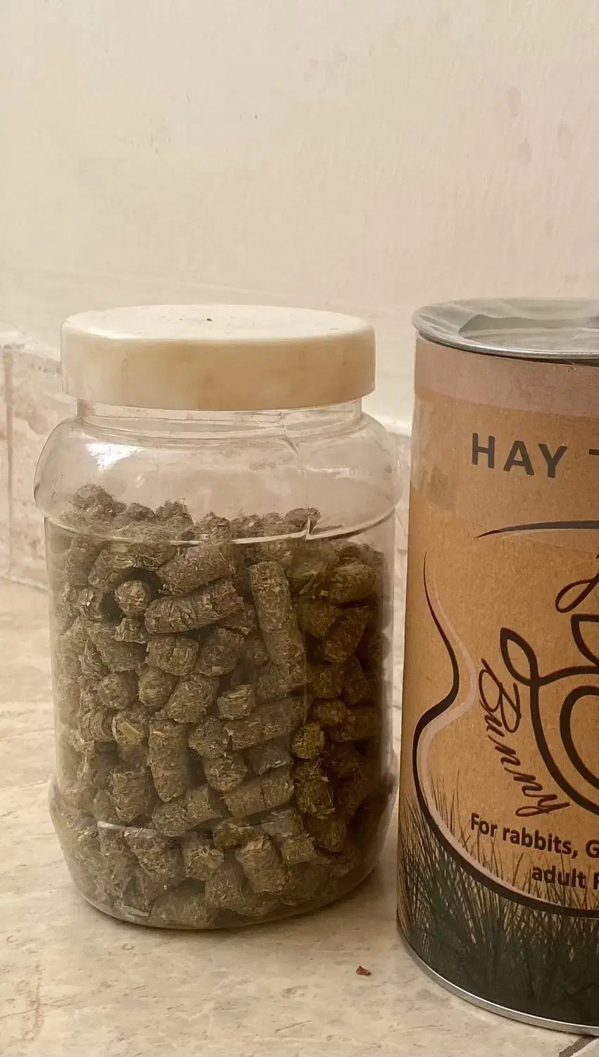 پلت خرگوش ارسال رایگان|لوازم جانبی حیوانات|تهران, توحید|دیوار