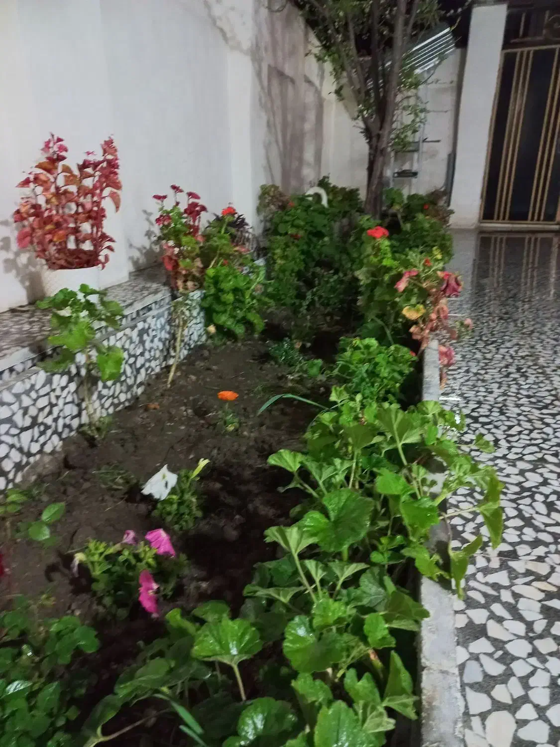 سوئیت ویلایی دربست با امکانات مجهز|اجارهٔ کوتاه‌مدت آپارتمان و سوئیت|گلوگاه, |دیوار