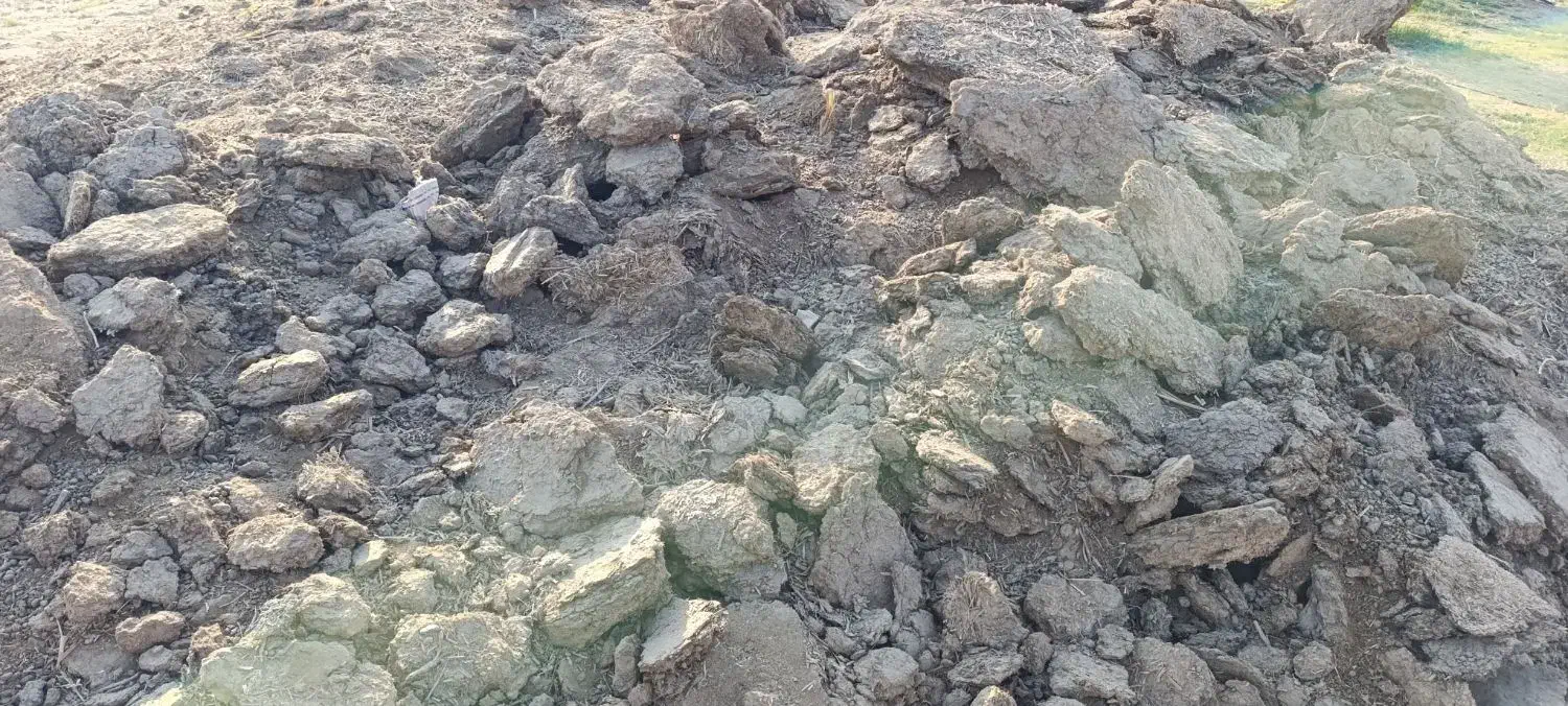 کود گوسفندی|لوازم جانبی حیوانات|رودبار (کرمان), |دیوار