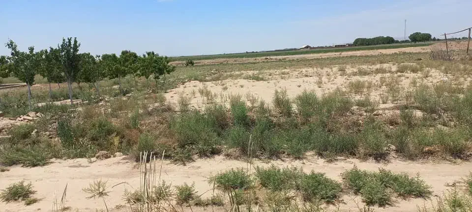 زمین ۵۰۰متری باغی ک نزدیک خیابان اصلیه|فروش زمین و ملک کلنگی|جوادآباد, |دیوار