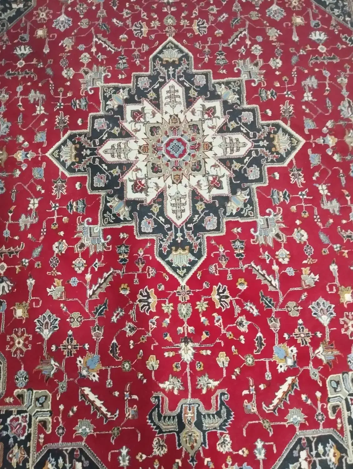 قالی|فرش|شوش, |دیوار