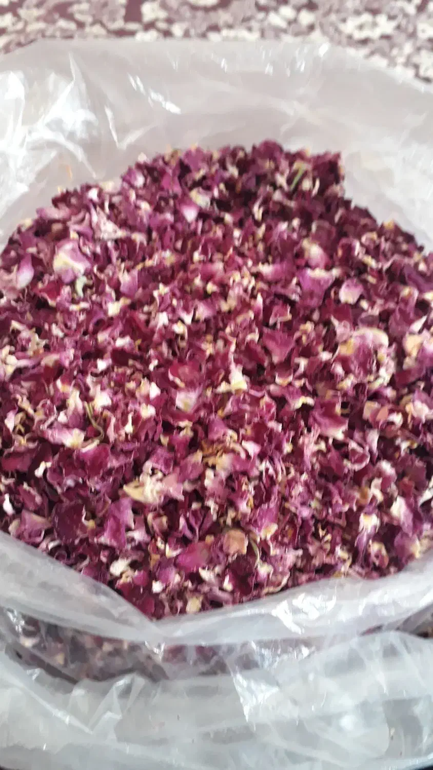 گل محمدی|خوردنی و آشامیدنی|سردرود, |دیوار