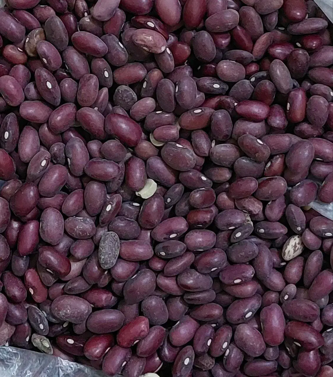 محصولات محلی لنجون|خوردنی و آشامیدنی|ایذه, |دیوار