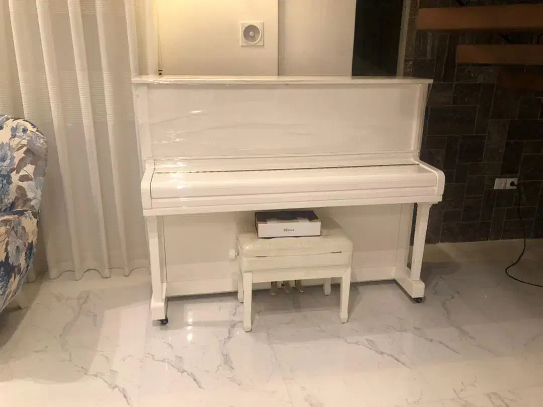 الات موسیقی پیانو|پیانو، کیبورد، آکاردئون|مشهد, ملکآباد|دیوار