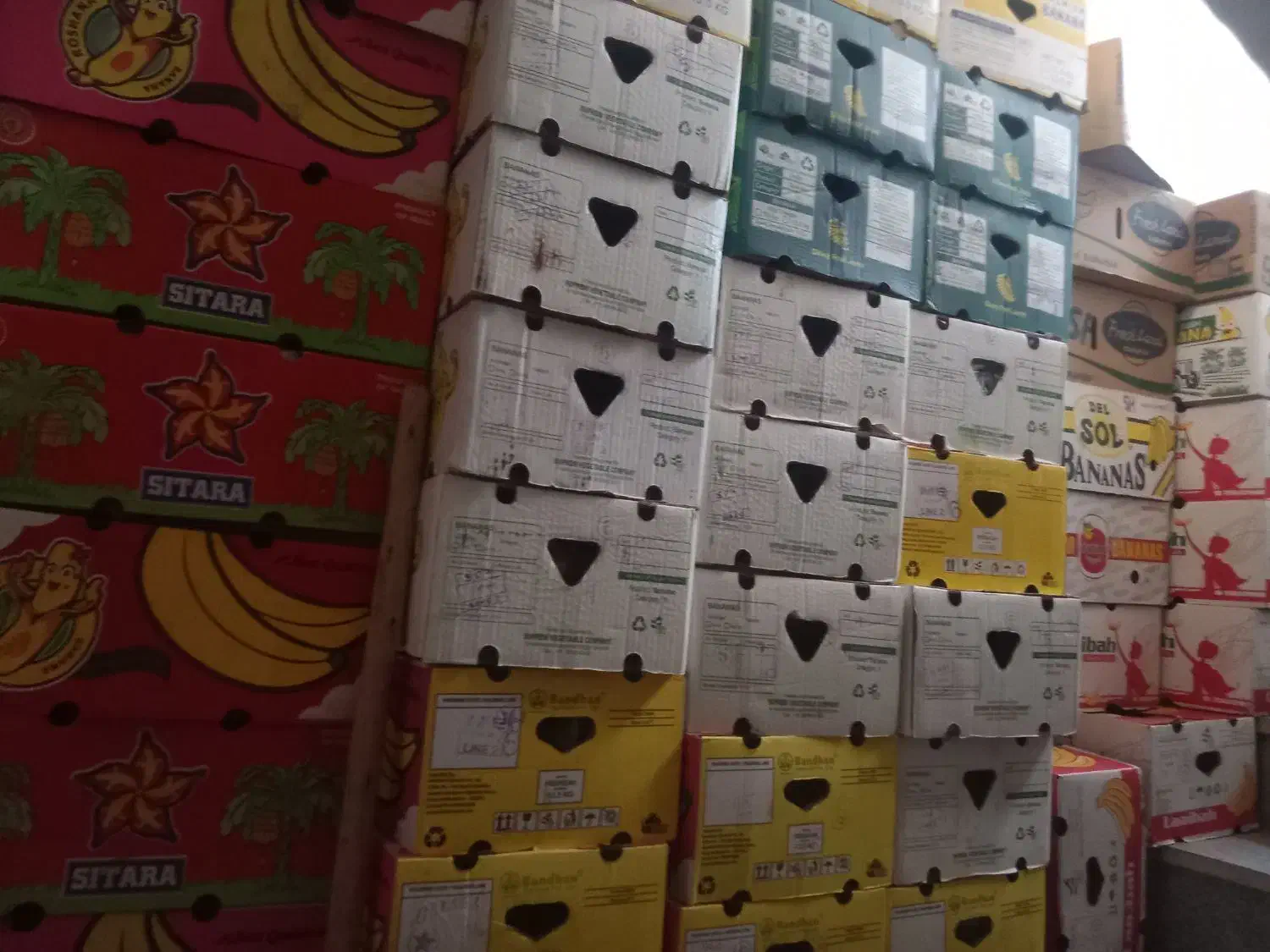 کارتن موزی|ابزارآلات|لردگان, |دیوار