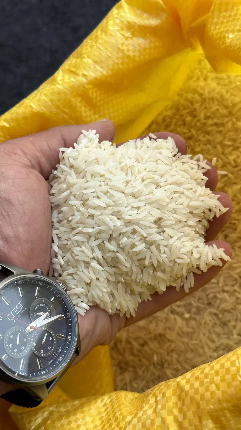 برنج طارم اصل شمال|خوردنی و آشامیدنی|تهران, سید خندان (جلفا)|دیوار