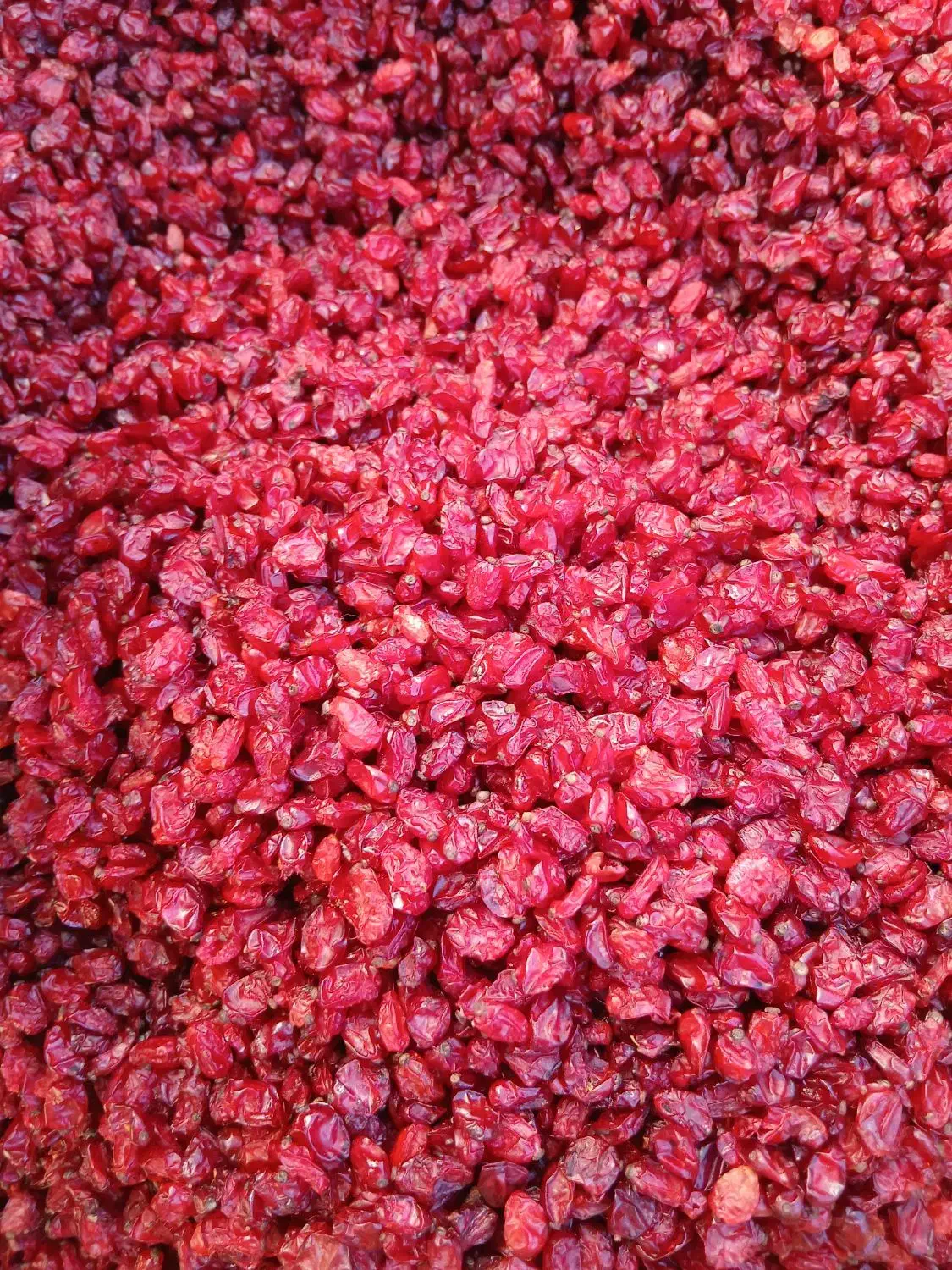 زرشک اناری درجه یک|خوردنی و آشامیدنی|درمیان, |دیوار