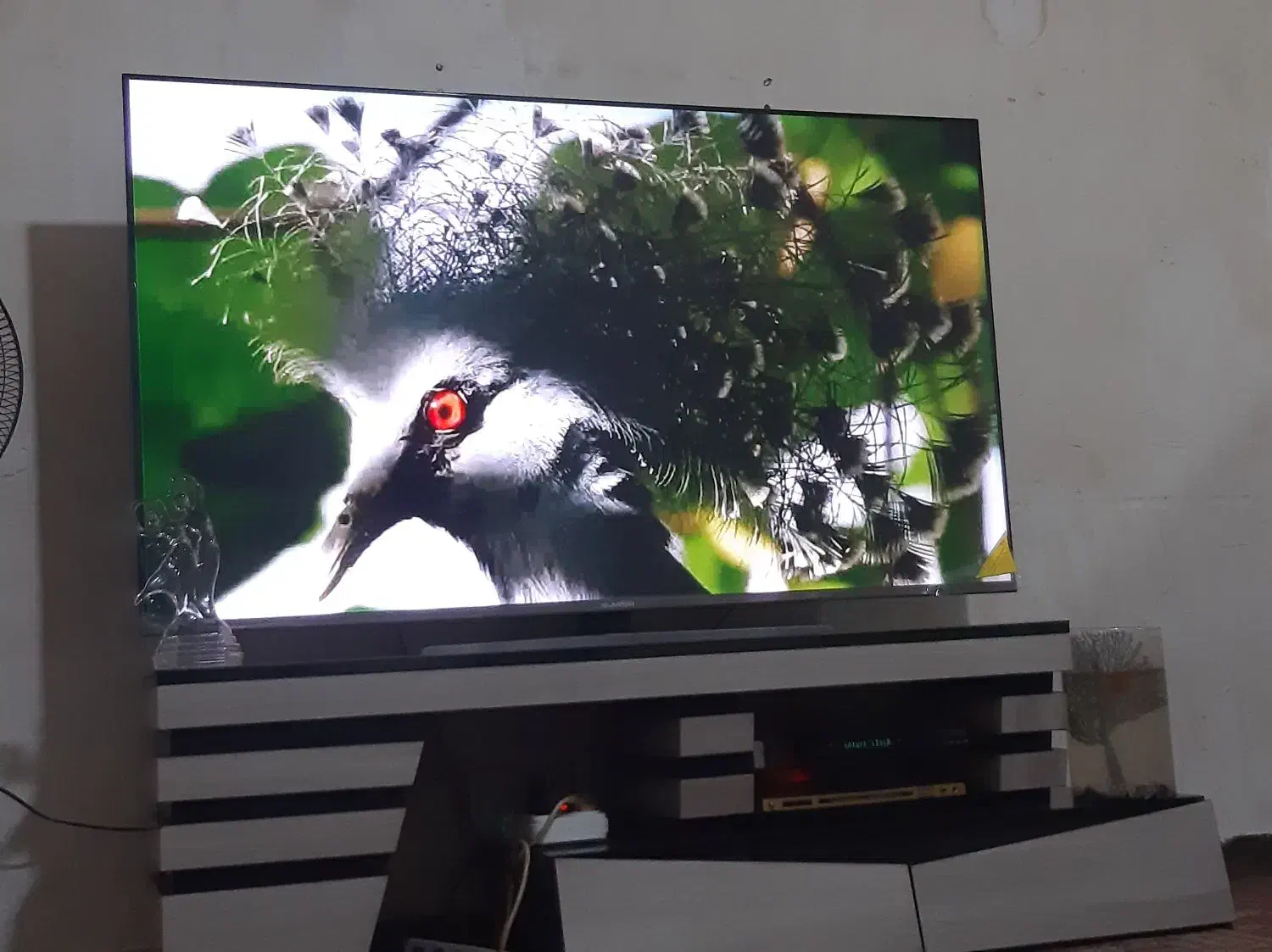 فروش تلوزیون ۶۵ اینچ|تلویزیون و پروژکتور|بهبهان, |دیوار