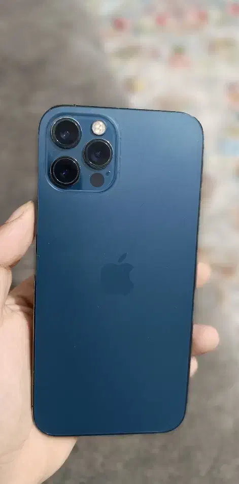 ایفن 12 پرو|موبایل|چابهار, |دیوار