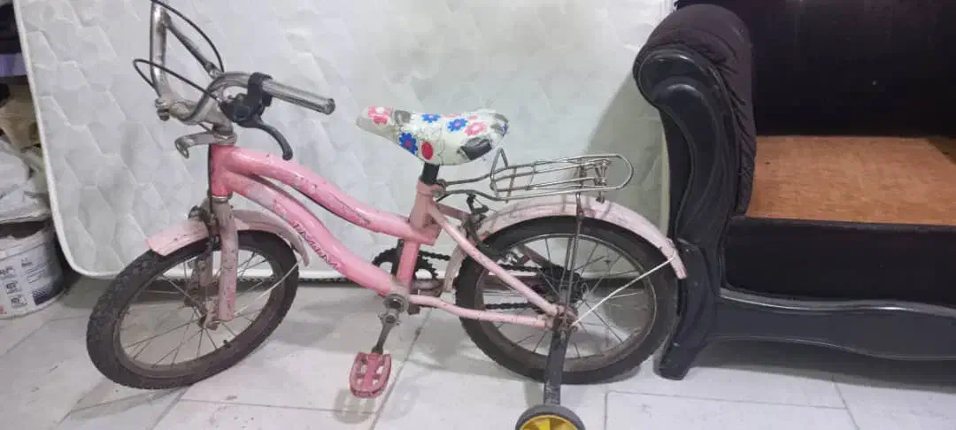 دوچرخه دوتا باهم|دوچرخه، اسکیت، اسکوتر|بابل, |دیوار