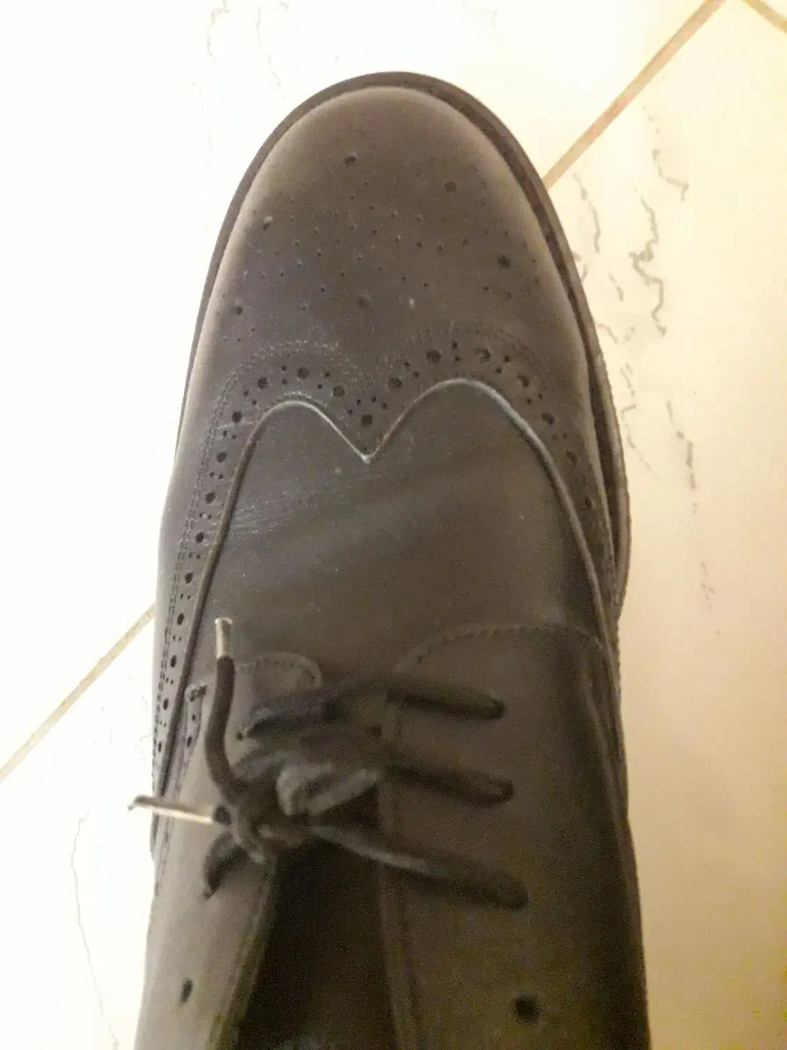 کفش شیما|کیف، کفش، کمربند|اردبیل, |دیوار