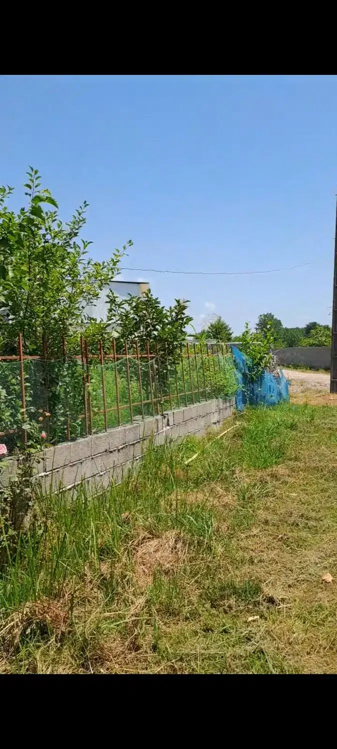 فروش زمین ۳۳۳متری در گیلان|فروش زمین و ملک کلنگی|آستانه اشرفیه, |دیوار
