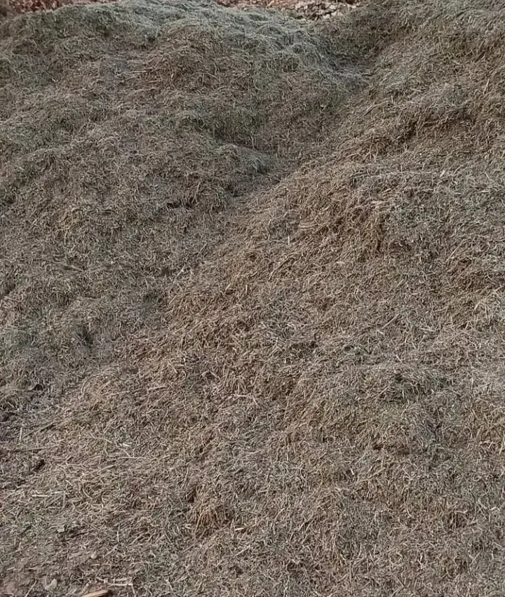 کاه ماش ۳۰ کپه سبز سبز عالی کمباینی|لوازم جانبی حیوانات|گتوند, |دیوار