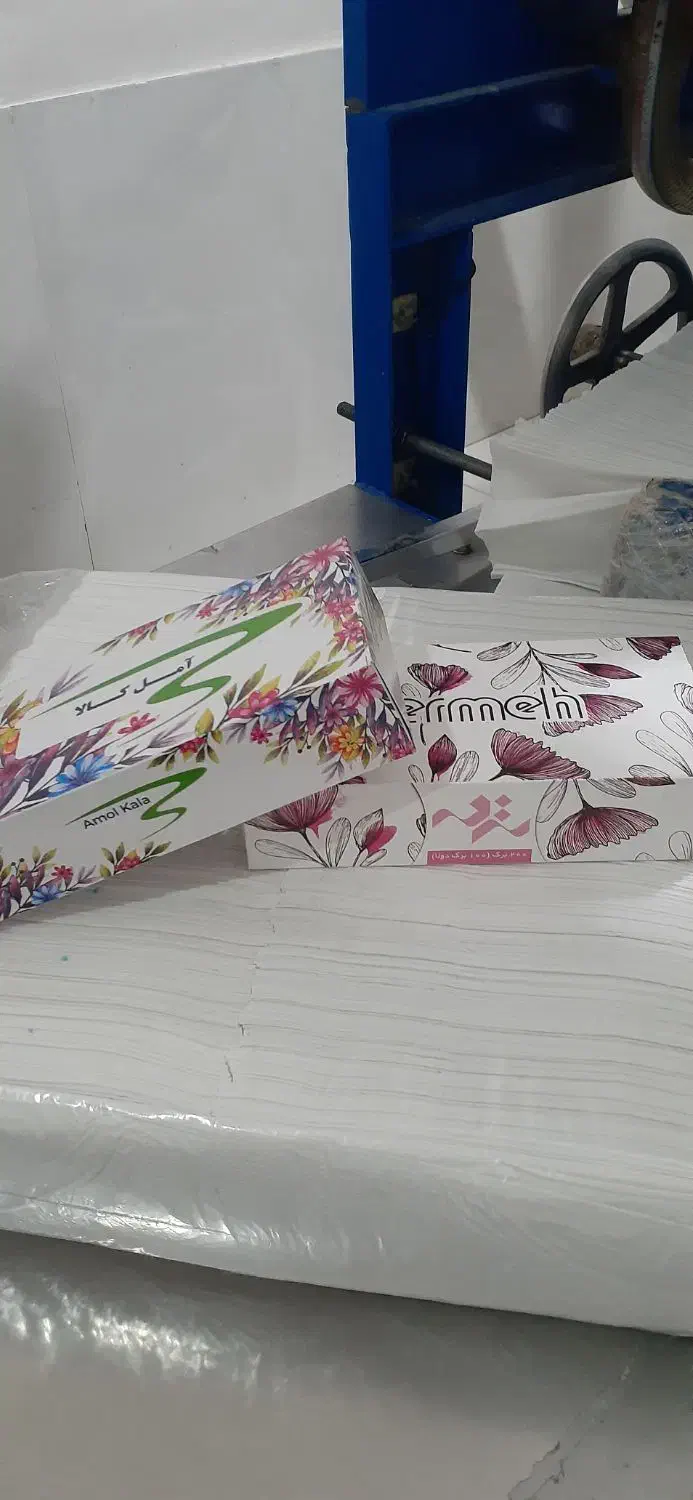 دستمال کاغذی|مواد شوینده و دستمال کاغذی|سبزوار, چهارراه فرودگاه|دیوار