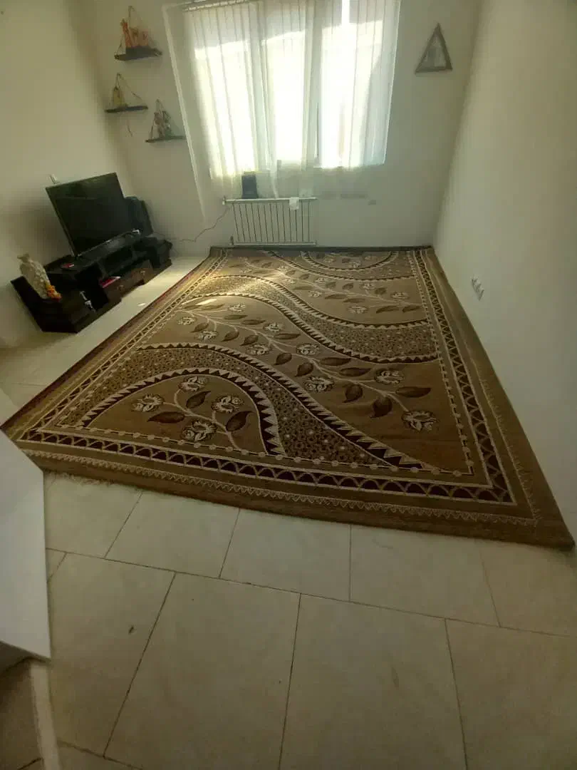 فروش فوری فرش|فرش|زرقان, |دیوار