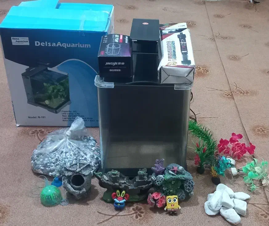 آکواریوم|ماهی|شاهدشهر, |دیوار