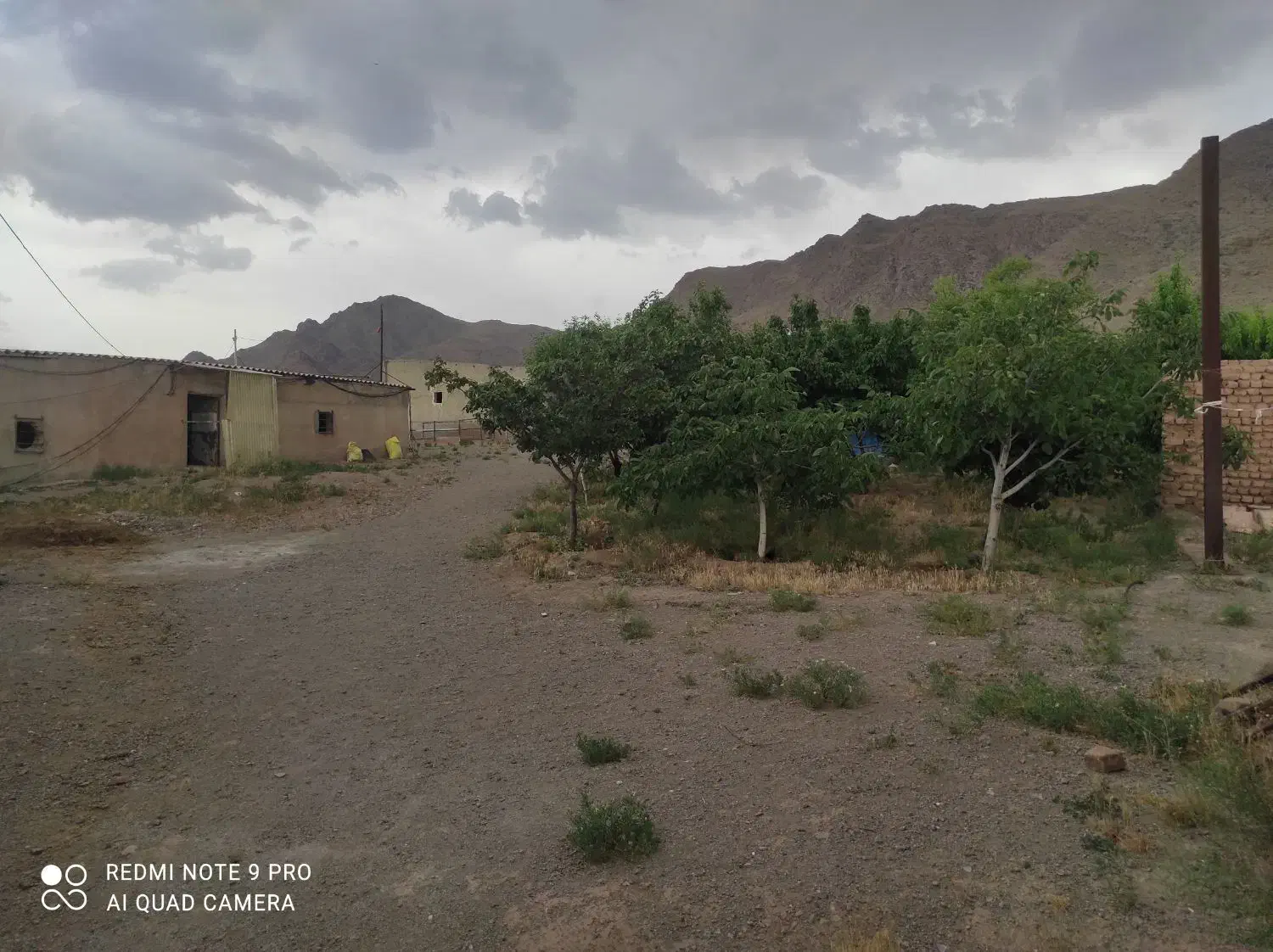 یک واحد دامداری جهت اجاره|اجارهٔ دفتر صنعتی، کشاورزی، تجاری|اشتهارد, |دیوار