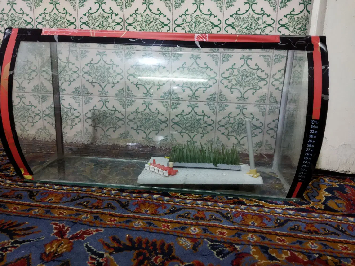 آکواریوم|لوازم جانبی حیوانات|مشهد, امام رضا (ع)|دیوار