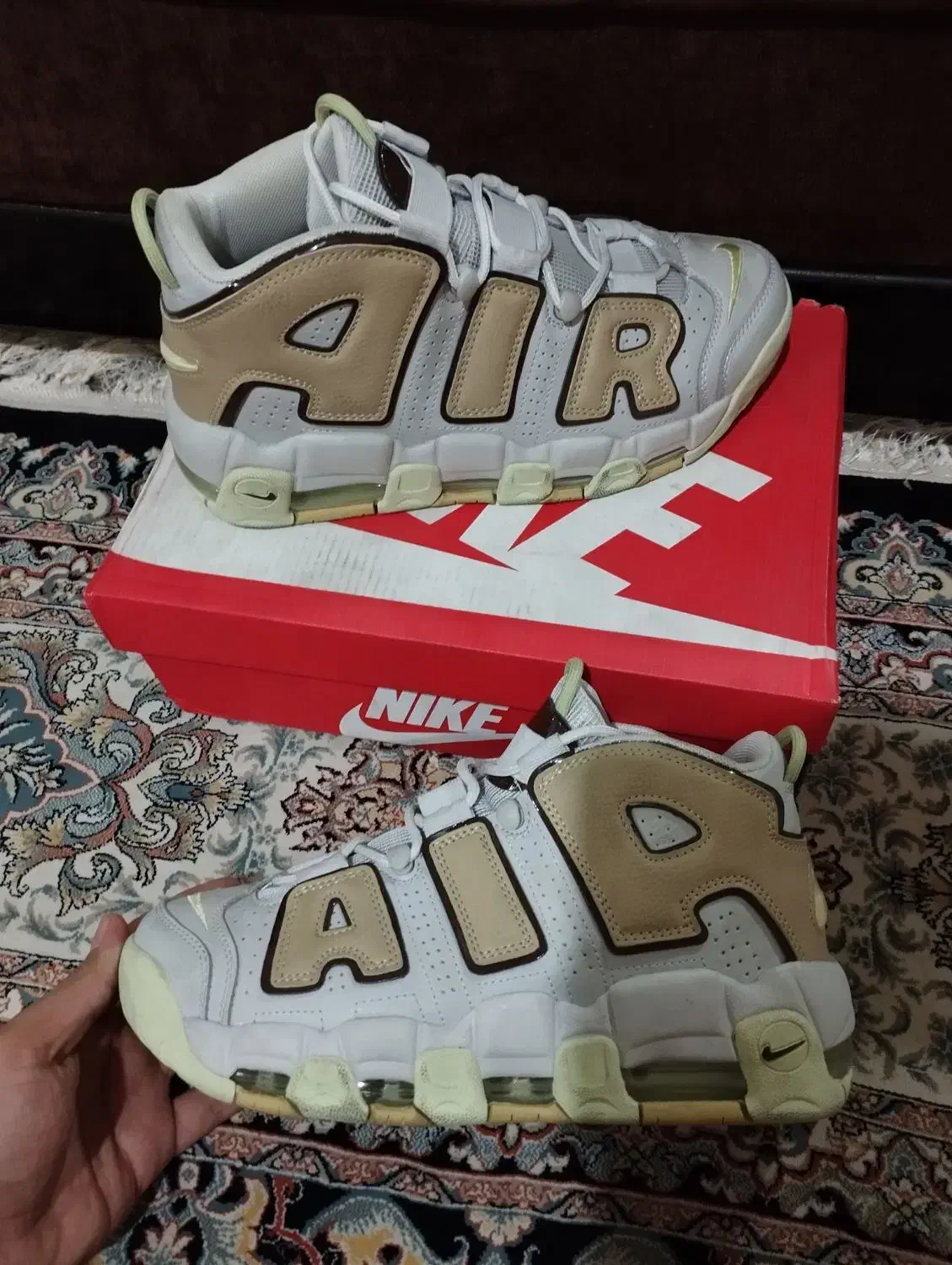 کتونی نایکAIR NIKEاورجینال ویتنامی.پانخورده.سایز42|کیف، کفش، کمربند|تهران, هلال احمر|دیوار