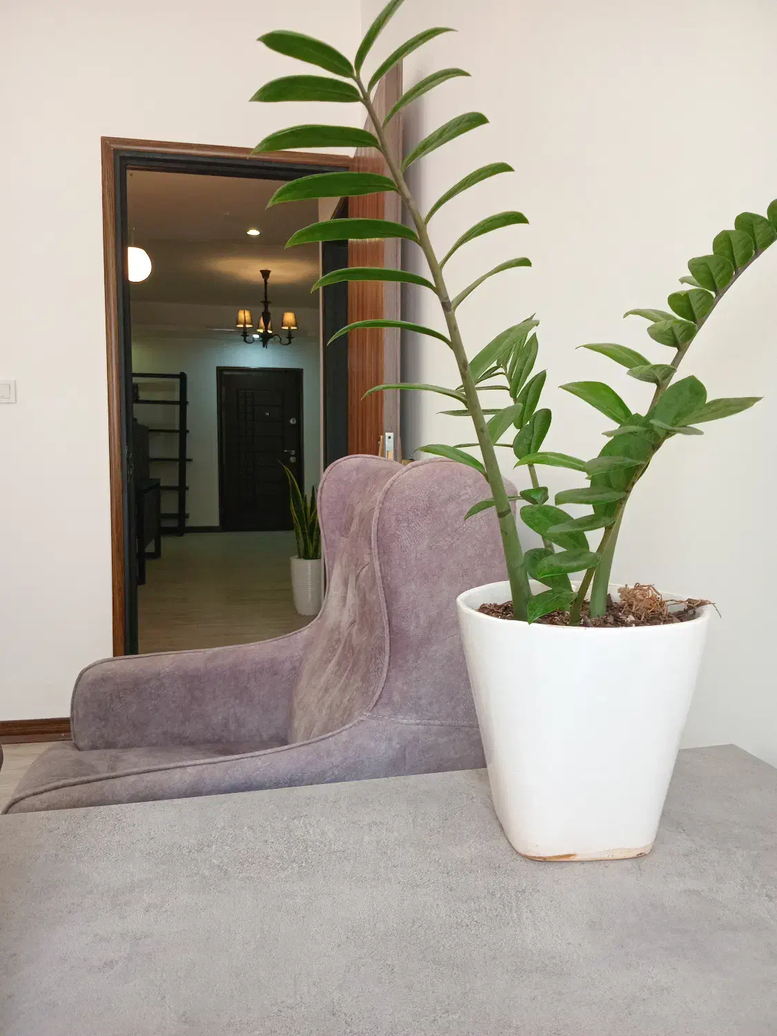 استخدام منشی|استخدام درمانی، زیبایی، بهداشتی|بابلسر, |دیوار