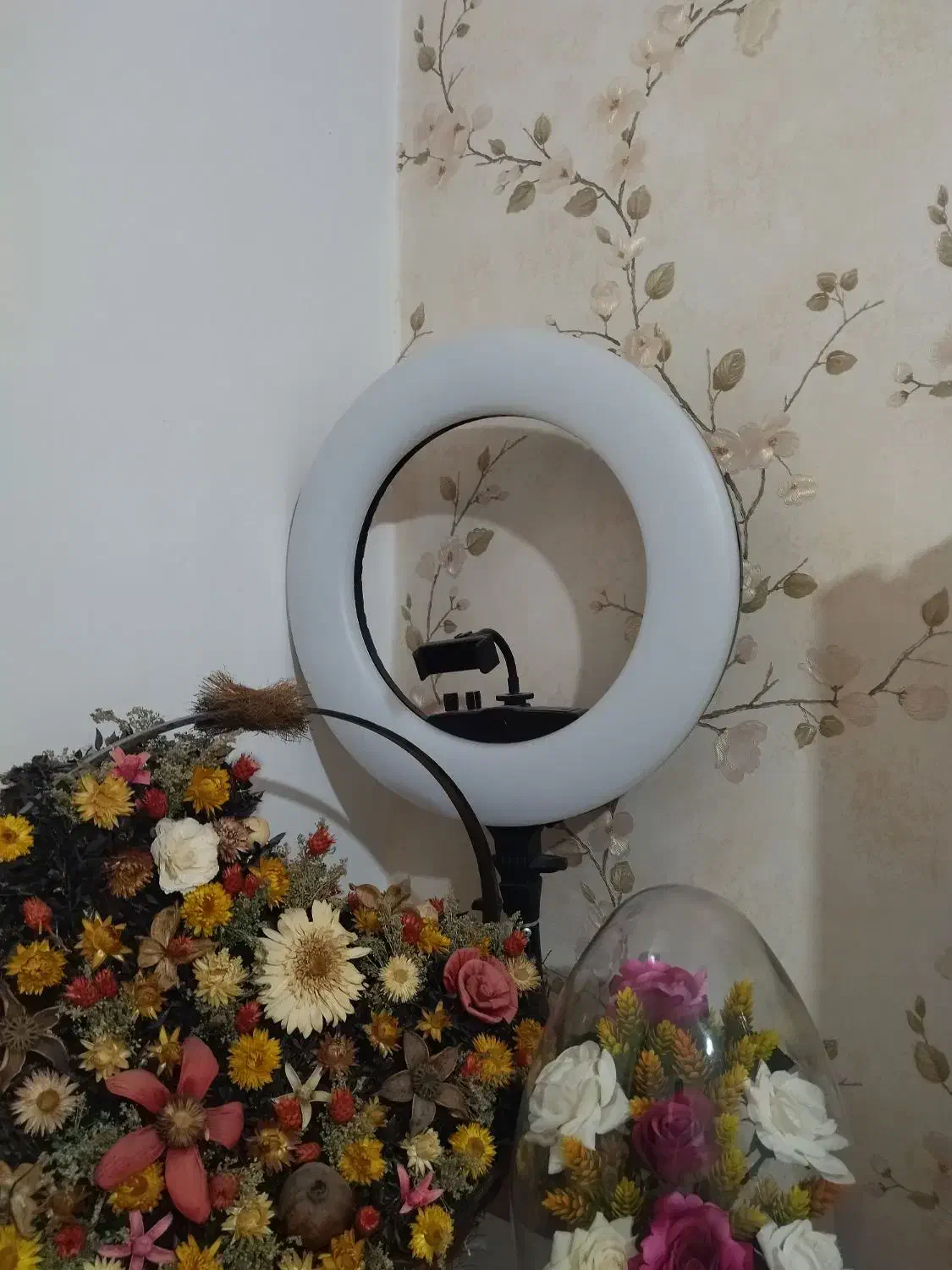 رینگ لایت می لوک|دوربین عکاسی و فیلم‌برداری|ارومیه, |دیوار