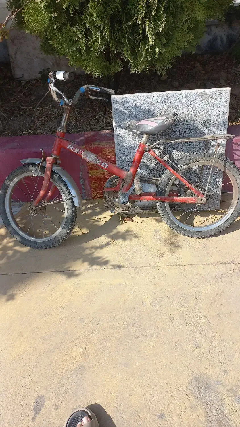 دوچرخه|دوچرخه، اسکیت، اسکوتر|مشهد, کوشش|دیوار