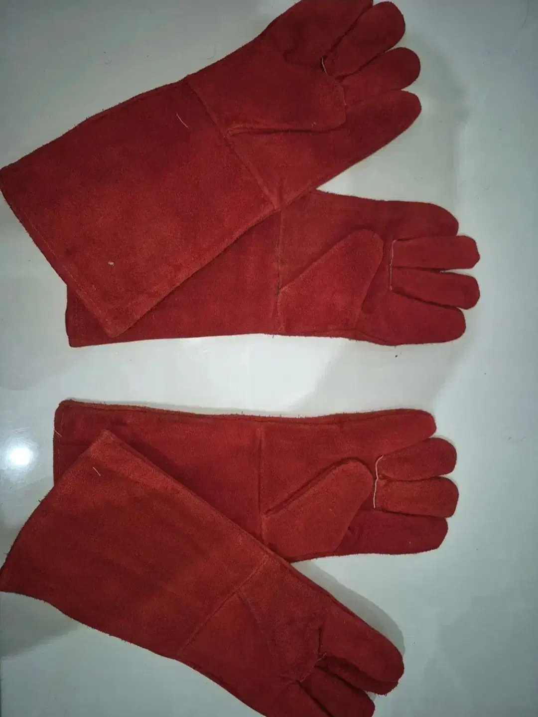 دستکش|ابزارآلات|شاهین‌شهر, حافظ جنوبی|دیوار