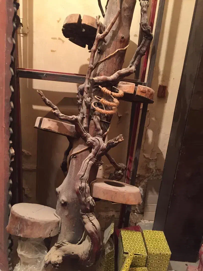 دکور چوبی ۱۷ تیکه|فروشگاه و مغازه|بندر ماهشهر, |دیوار