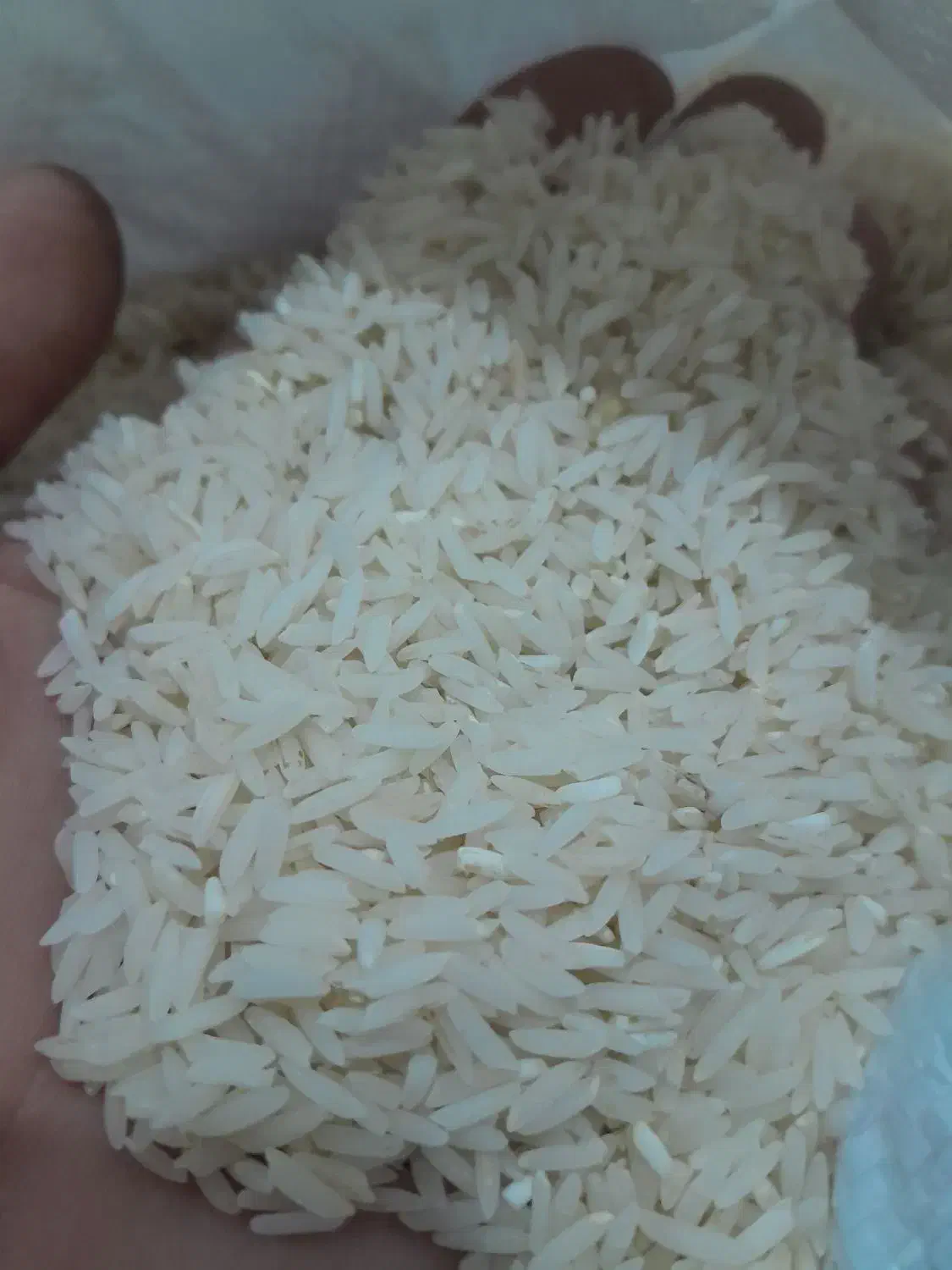 برنج دمسیاه تیل آباد باعطرعالی|خوردنی و آشامیدنی|آزادشهر, |دیوار