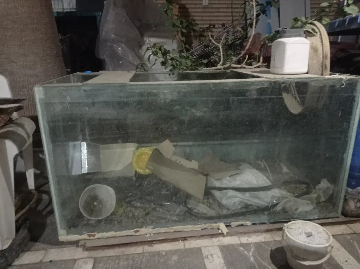 ۴ عدد آکواریوم با وسایل|ماهی|زاهدان, |دیوار