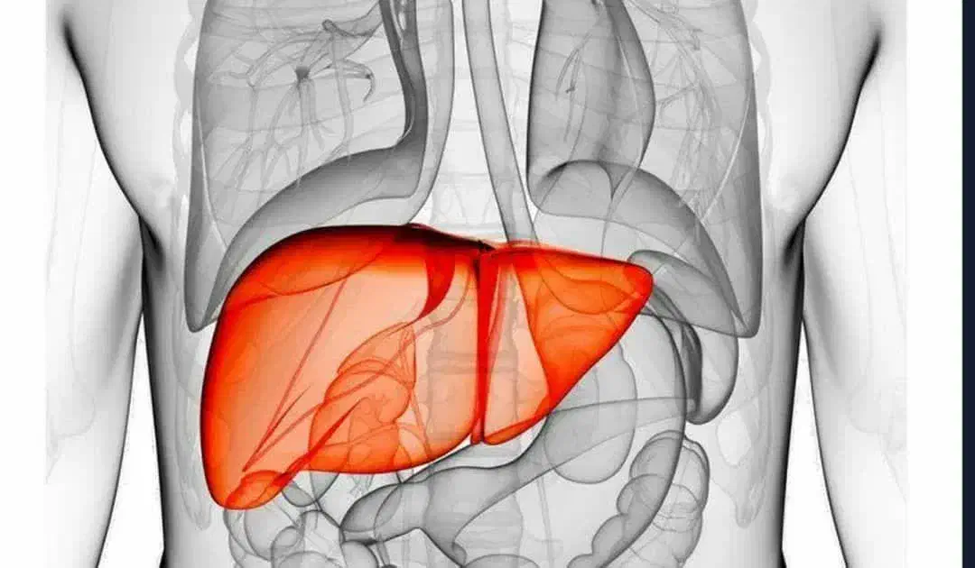 چاقی چه بلای سرمون میاره|آرایشی، بهداشتی، درمانی|بندرلنگه, |دیوار