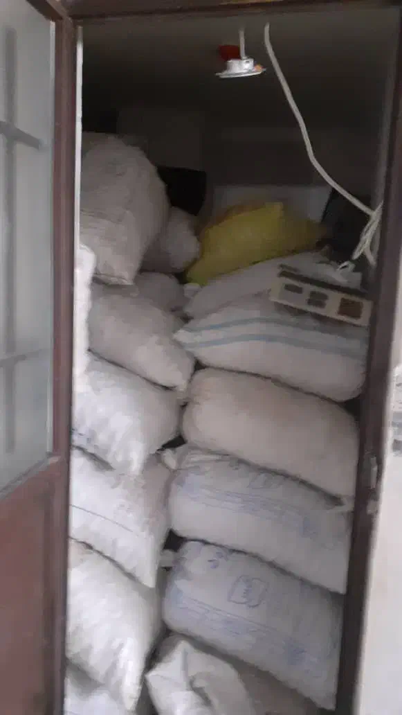 گردو بومی|خوردنی و آشامیدنی|فولادشهر, فولادشهر|دیوار