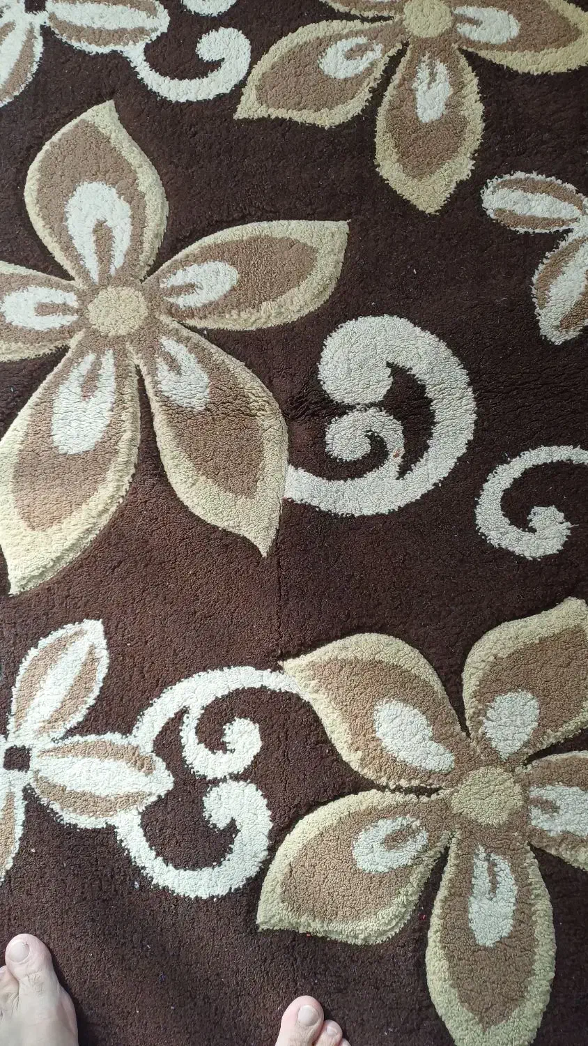 سه عدد پادری سالم|پادری|زنجان, |دیوار