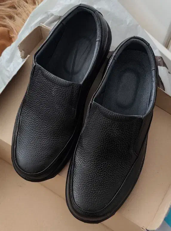 کفش طبی نو|کیف، کفش، کمربند|زرندیه, |دیوار