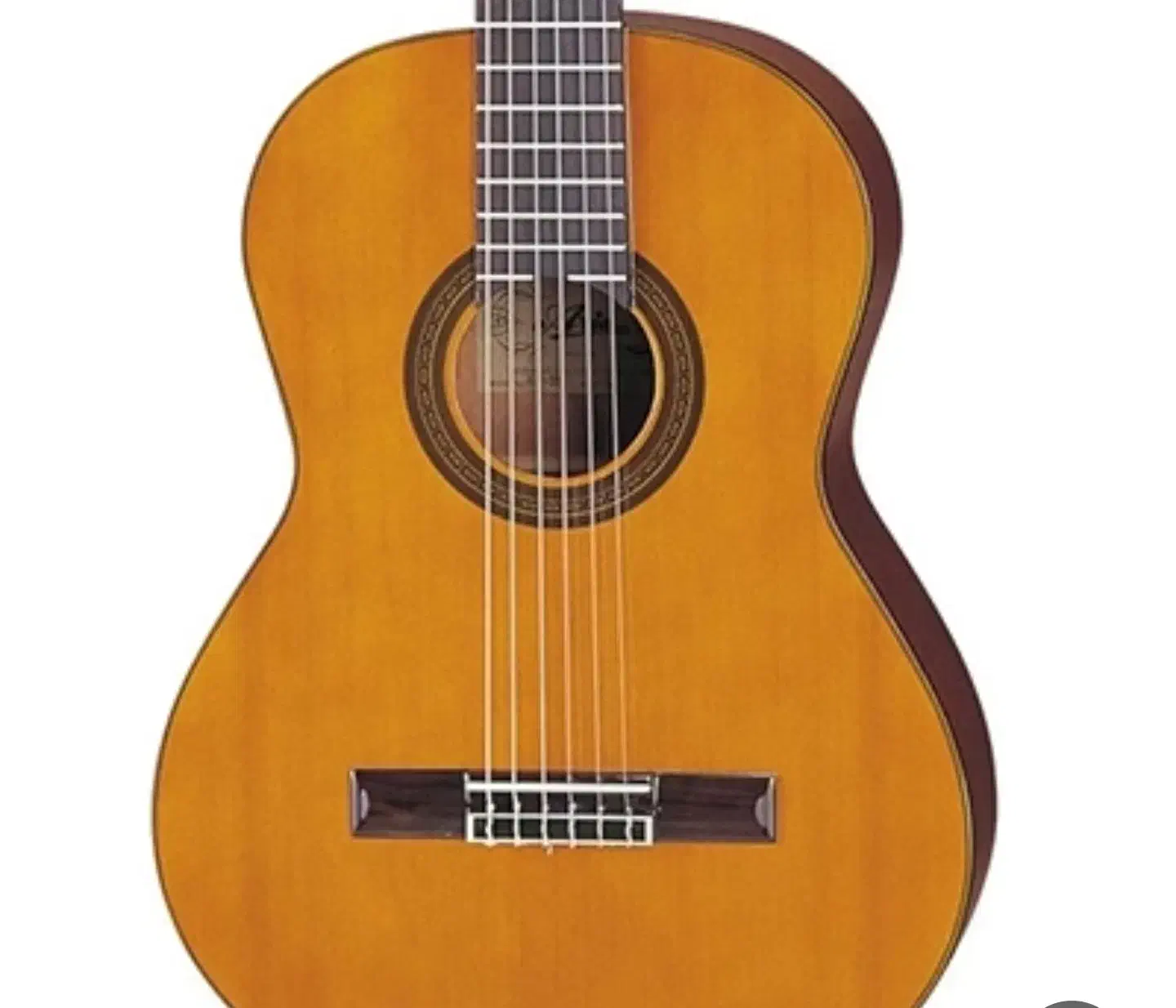 گیتار|گیتار، بیس، امپلیفایر|تهران, قاسم‌آباد|دیوار