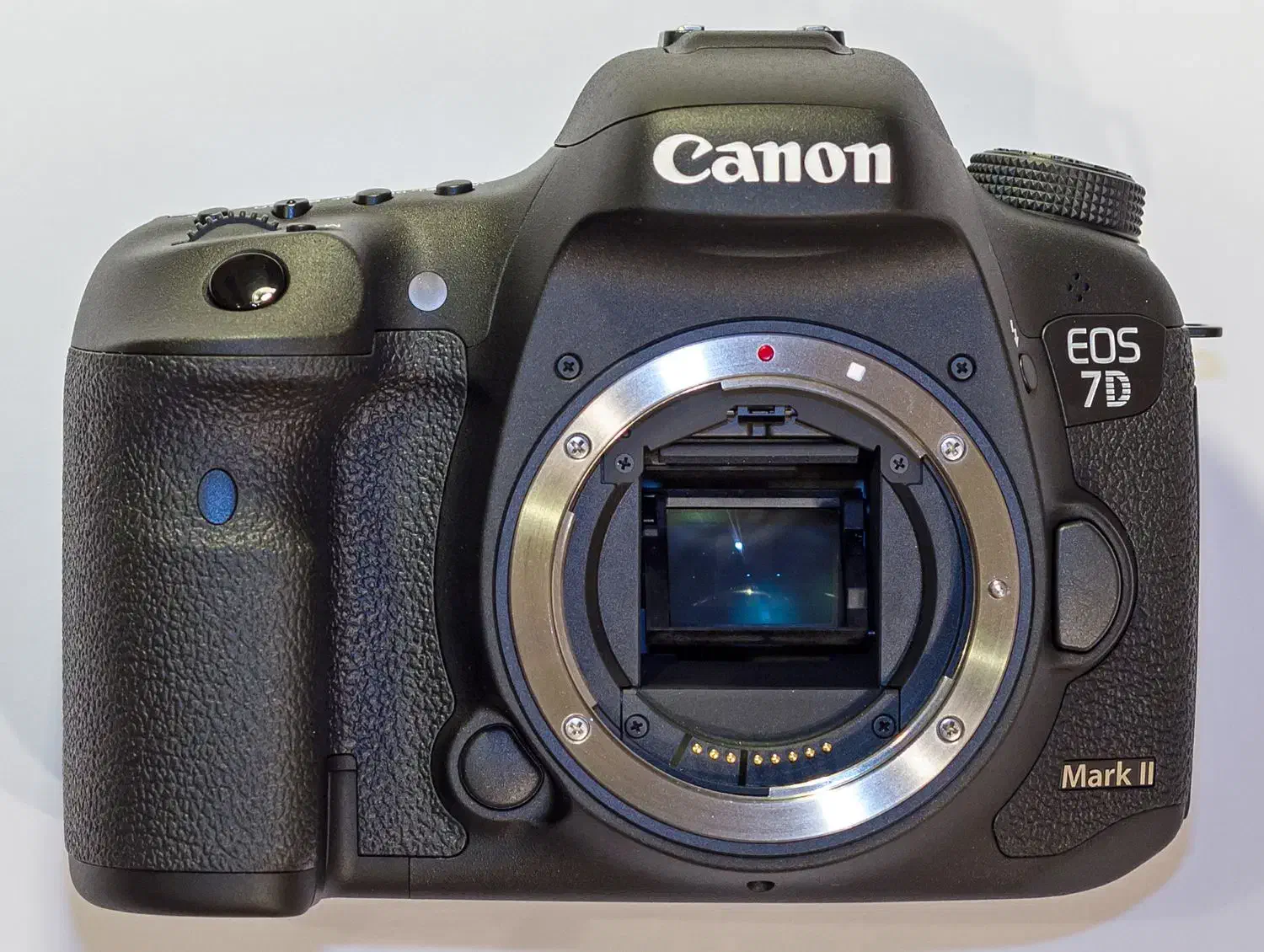canon 7D mark ll|دوربین عکاسی و فیلم‌برداری|دزفول, |دیوار