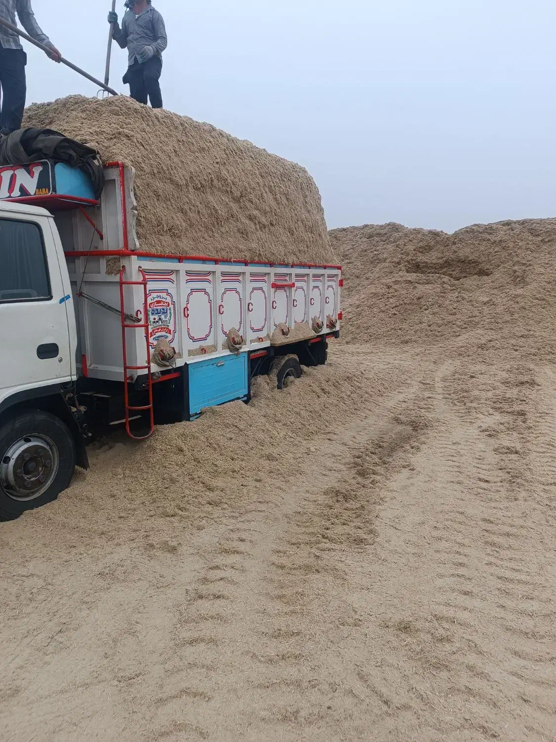 کاه|عمدهفروشی|خمین, |دیوار