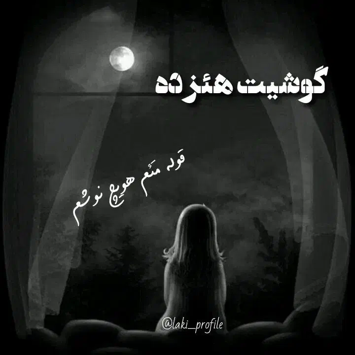 شناسنامه گوم شود  هرکس  پیدا کرد|اشیا|نهاوند, |دیوار