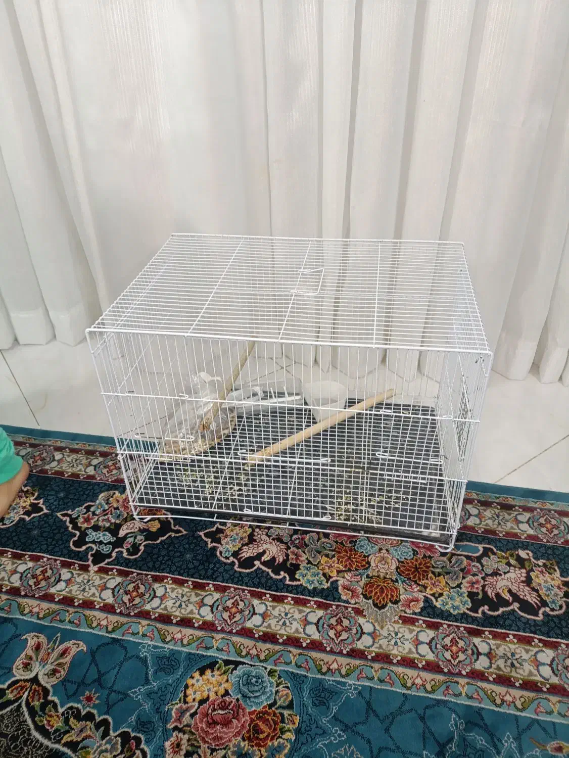 قفس|لوازم جانبی حیوانات|مشهد, موعود|دیوار