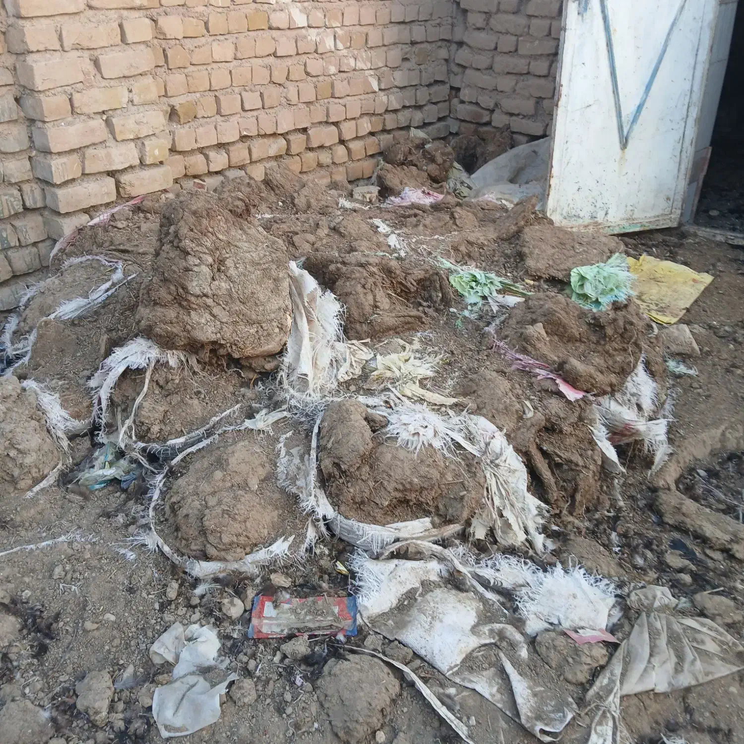 کود مرغی خالص|خدمات باغبانی و درختکاری|فریمان, |دیوار