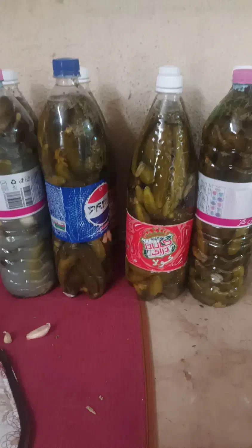 ترشی،خیارشور|خوردنی و آشامیدنی|شیراز, جوادیه|دیوار