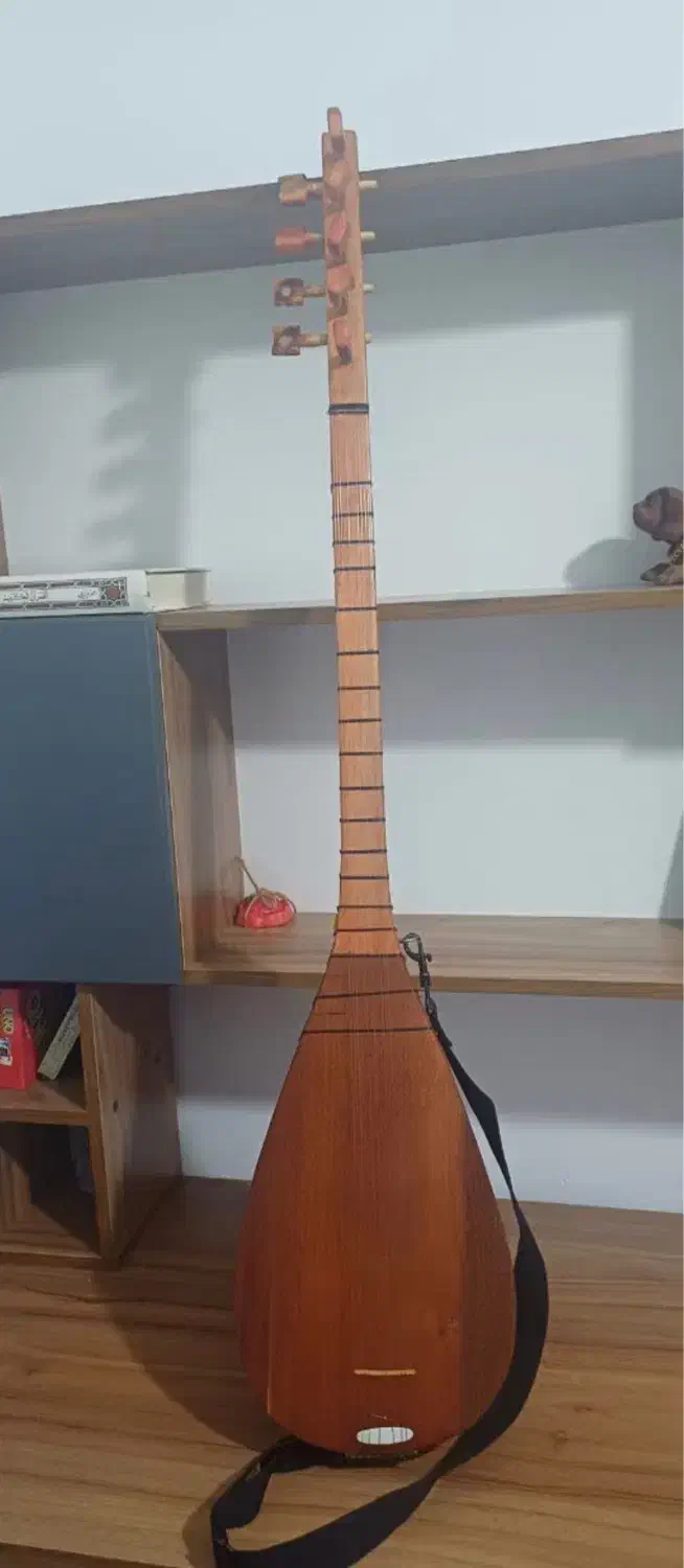 قاپوز|سازهای سنتی|تهران, دستغیب|دیوار