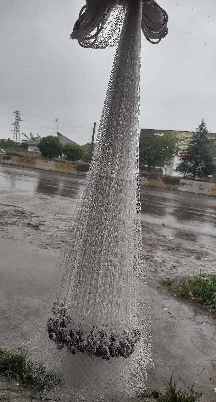 تور ماهیگیری، سالی|ماهیگیری|رودسر, |دیوار