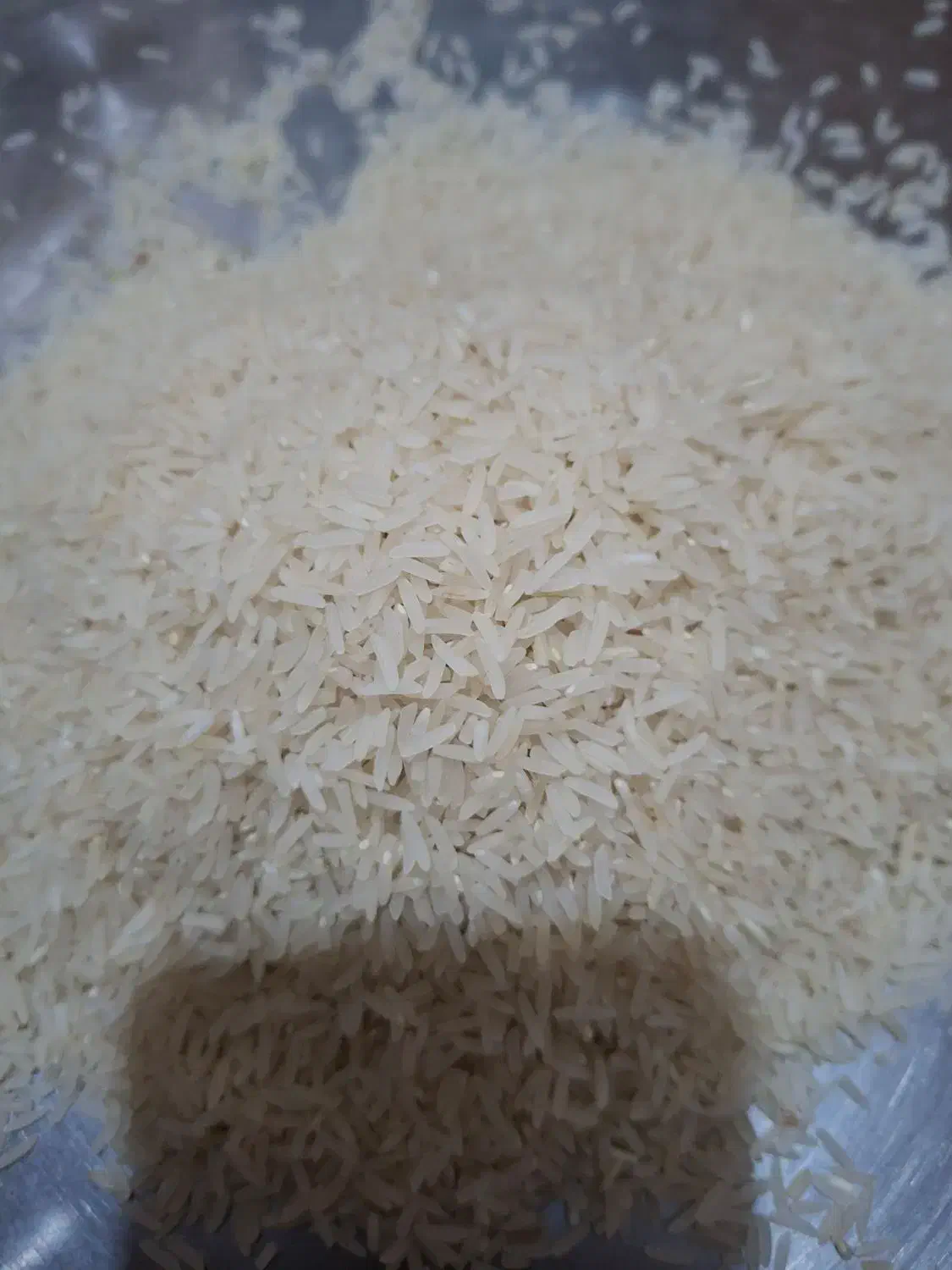 فجر سوزنی درجه یک|عمدهفروشی|فاضل آباد, |دیوار