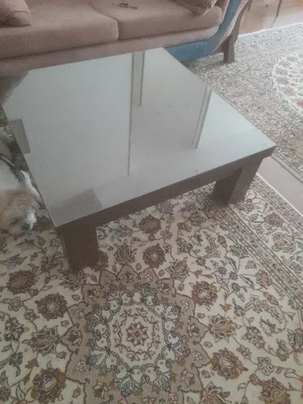 میز|میز و صندلی غذاخوری|کرج, کوی زنبق|دیوار