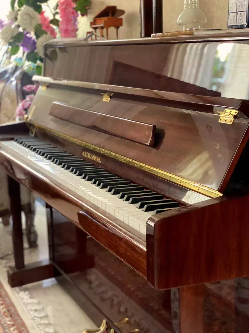پیانو kings burg|پیانو، کیبورد، آکاردئون|اصفهان, دستگرده|دیوار