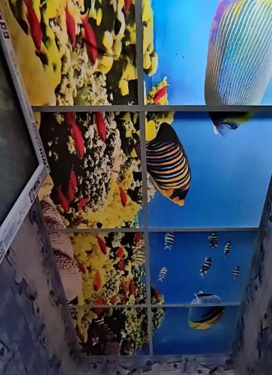 نصاب دیزایین منزل|خدمات پیشه و مهارت|شوشتر, |دیوار