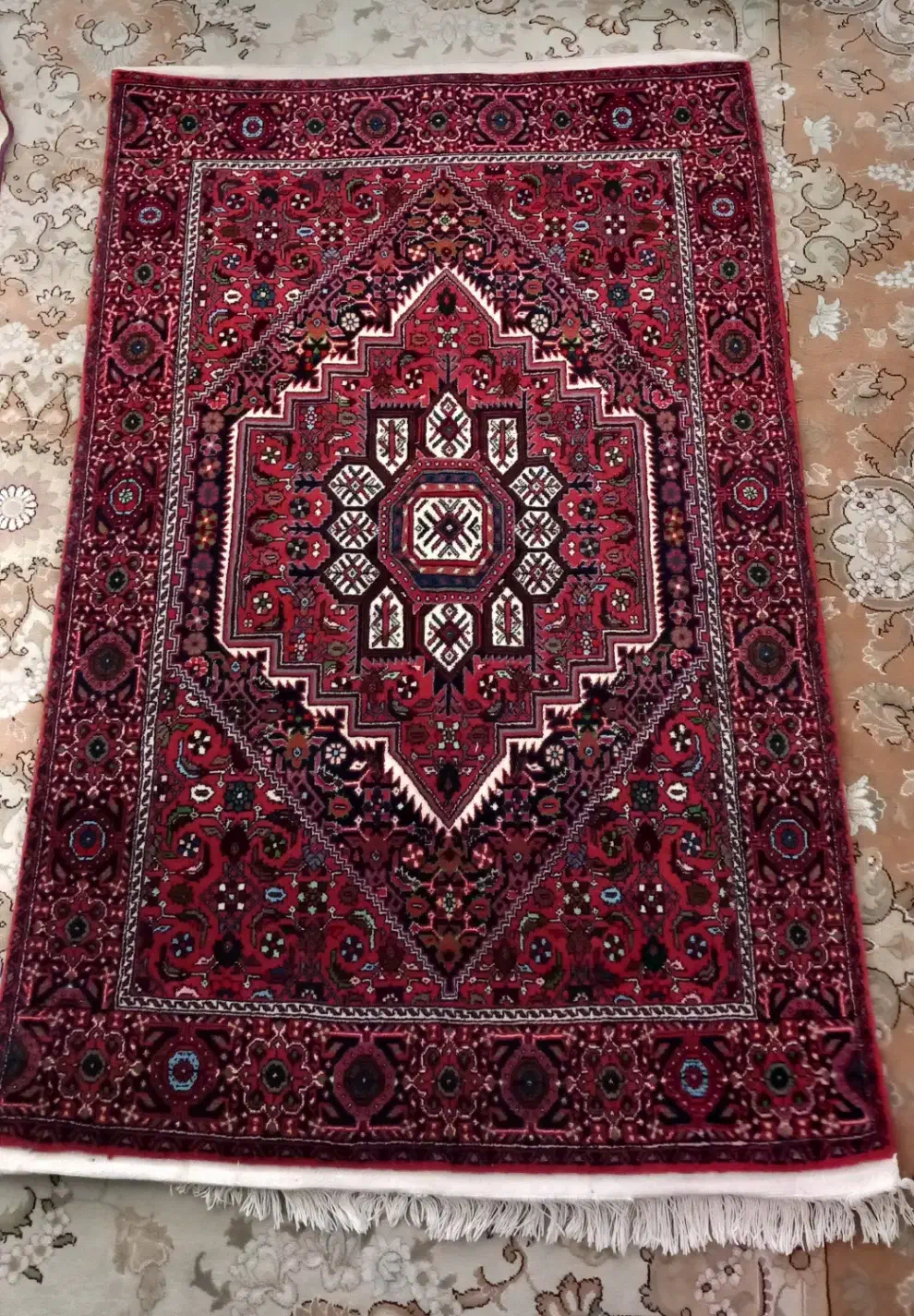 فرش دستبافت|فرش|زنجان, |دیوار